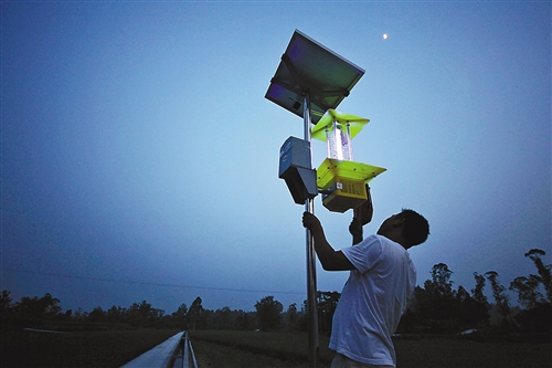 如何科學(xué)有效的使用太陽能殺蟲燈？
