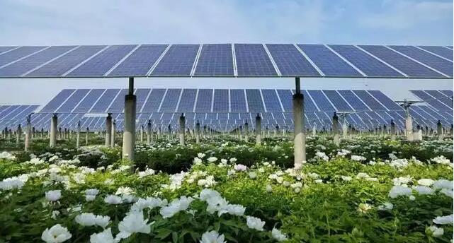 工信部等三部門“出手”約談硅料企業(yè) 光伏產(chǎn)業(yè)將迎新變局？